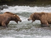alaska-brooks-falls-camp-1000-13
