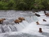 alaska-brooks-falls-camp-1000-16