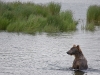 alaska-brooks-falls-camp-1000-18