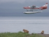 alaska-brooks-falls-camp-1000-26