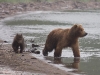 alaska-brooks-falls-camp-1000-29