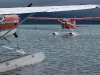 alaska-brooks-falls-camp-1000-35