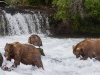 alaska-brooks-falls-camp-1000-38