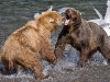 alaska-brooks-falls-camp-1000-44