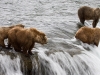 alaska-brooks-falls-camp-1000-5