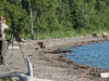 alaska-brooks-falls-camp-1000-60