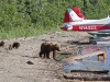 alaska-brooks-falls-camp-1000-63