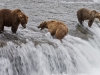 alaska-brooks-falls-camp-1000-9