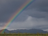 Regenbogen-Wetter im Denali
