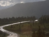 Teil der einzigen Parkstraße im Denali NP