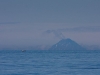 alaska-homer-spit-1000-13