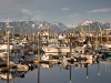 alaska-homer-spit-540-22