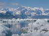 alaska-valdez-columbia-bay-glacier-1000-14