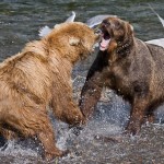 Brooks Falls, Camp und Lodge in Katmai National Park Brooks Falls, Camp und Lodge in Katmai National Park
