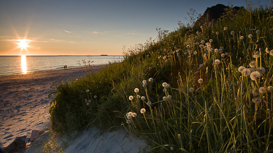 Der Strand von Bleik mit der Stimmung der Mitternachtssonne
